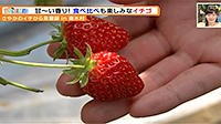 190130_toku.jpg