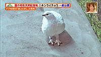 190321_toku.jpg