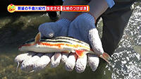 190517_toku.jpg
