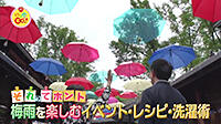 190620_toku.jpg