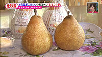 191004_toku.jpg