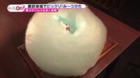 200123_toku.jpg