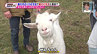 200210_toku.jpg