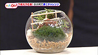 200313_toku.jpg