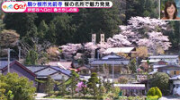 200320_toku.jpg
