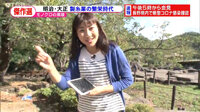 200506_toku.jpg