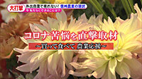 200518_toku.jpg