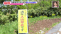 200609_toku.jpg