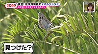 200611_toku.jpg