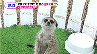 200706_toku.jpg