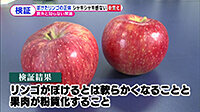 200924_toku.jpg